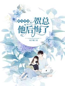 婚浅情深总裁的天价前妻全文免费阅读正版